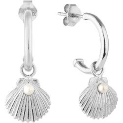 Radiant SHELL earrings for women