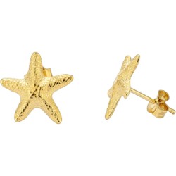 Radiant STARFISH earrings for women